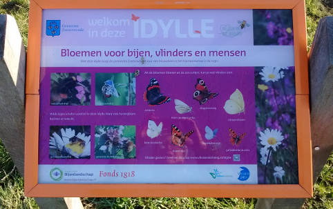 Bord met insekten